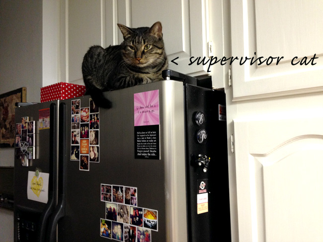 supervisorcat