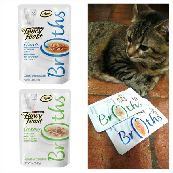 Treating Your Cat to Fancy Feast® Broths